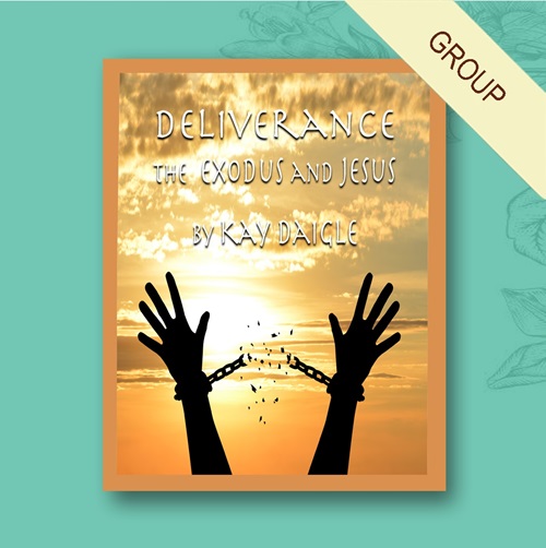 Cover of "Deliverance: The Exodus & Jesus" Bible study - Group